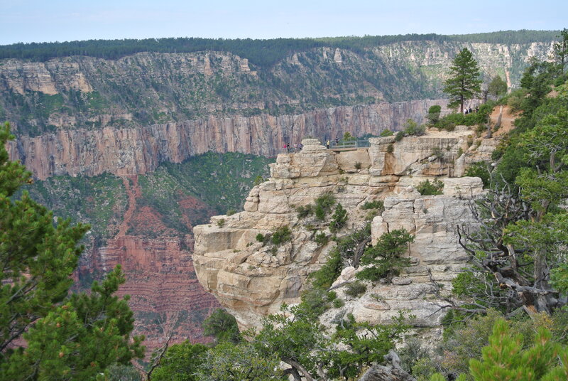 Grand Canyon Cliffs — Green