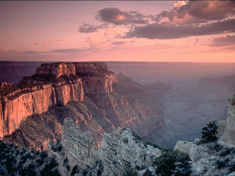 Grand Canyon Cliffs — Pink