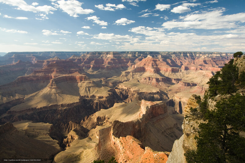 Grand Canyon Landscape — Blue, Dramatic, Afternoon, Photograph, Cliffs, Trees, Sky