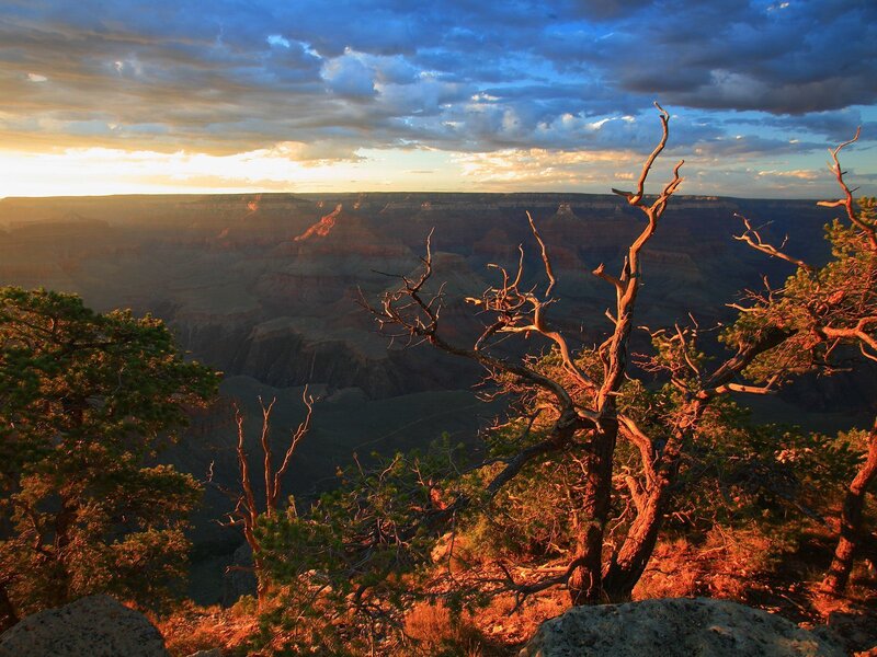 Grand Canyon Landscape — Blue, Dramatic, Sunset, Photograph, Trees