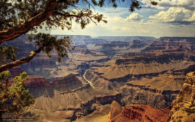 Grand Canyon Landscape — Brown, Dramatic, Afternoon, Photograph, Tree Branch, River, Clouds