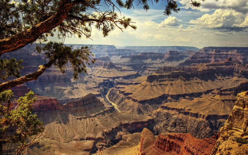 Grand Canyon Landscape — Brown, Dramatic, Afternoon, Photograph, Tree Branch