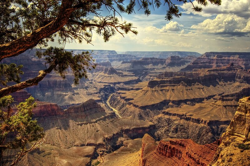 Grand Canyon Landscape — Brown, Dramatic, Afternoon, Photograph, Tree Branches