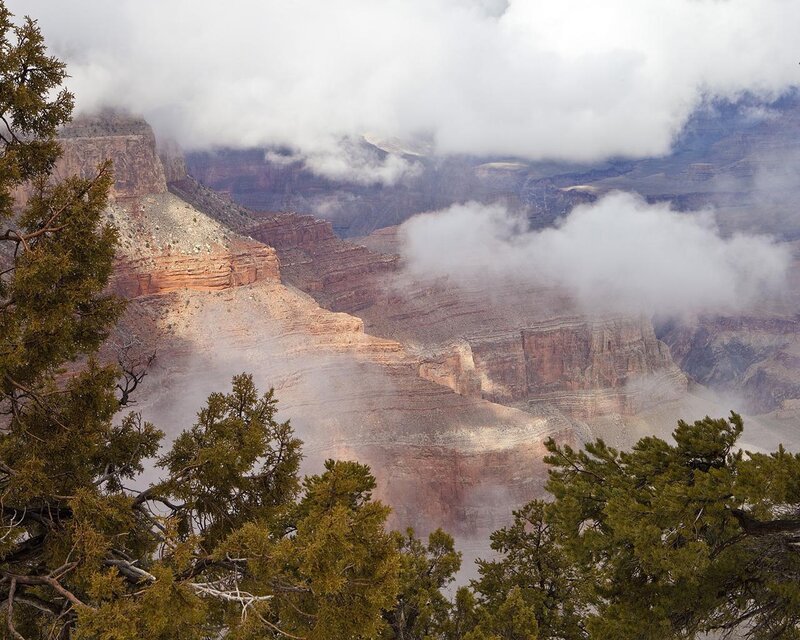 Grand Canyon Landscape — Green, Misty