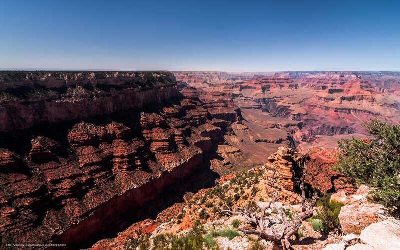 Grand Canyon Landscape — Red, Dramatic, Afternoon, Photograph, Rock Formations, Vegetation