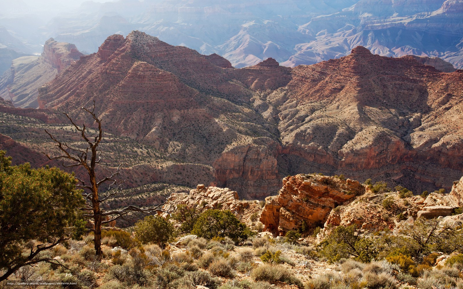 Grand Canyon landscape view
