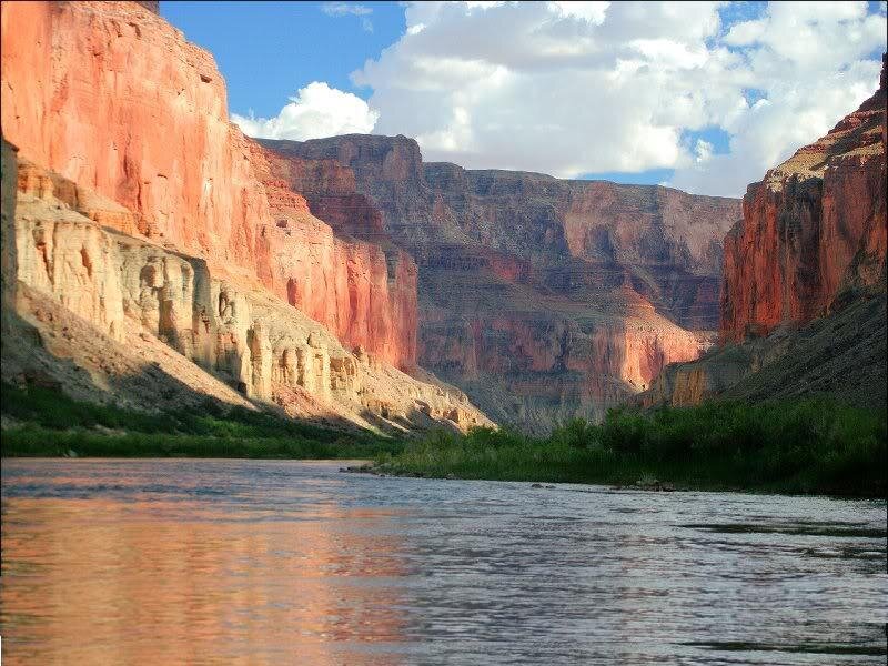 Grand Canyon River — Red