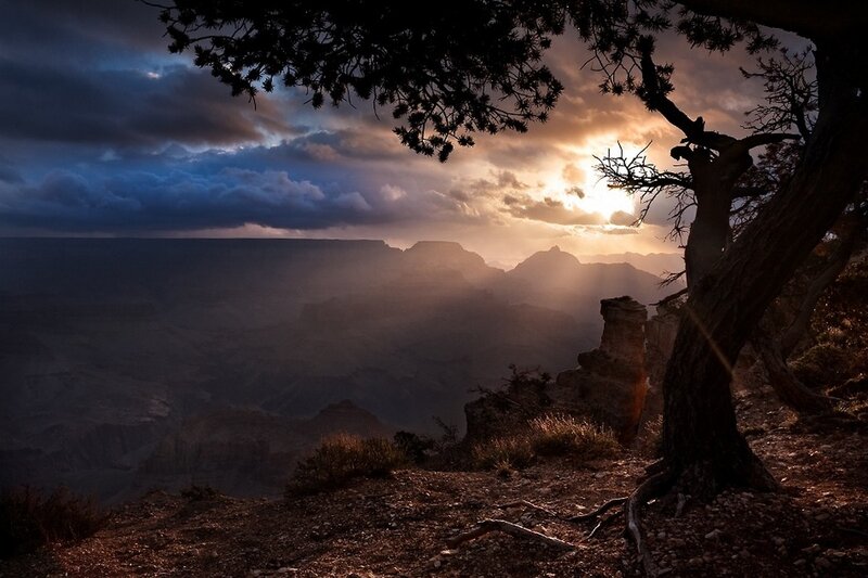 Grand Canyon Sunset — Brown, Dramatic