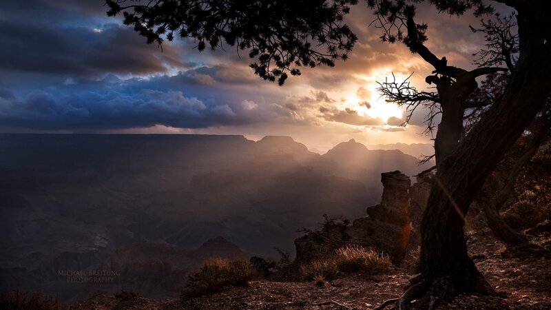 Grand Canyon Sunset — Orange, Dramatic, Photograph, Tree