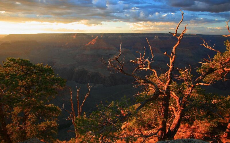 Grand Canyon Sunset — Orange, Dramatic, Photograph, Trees, Clouds