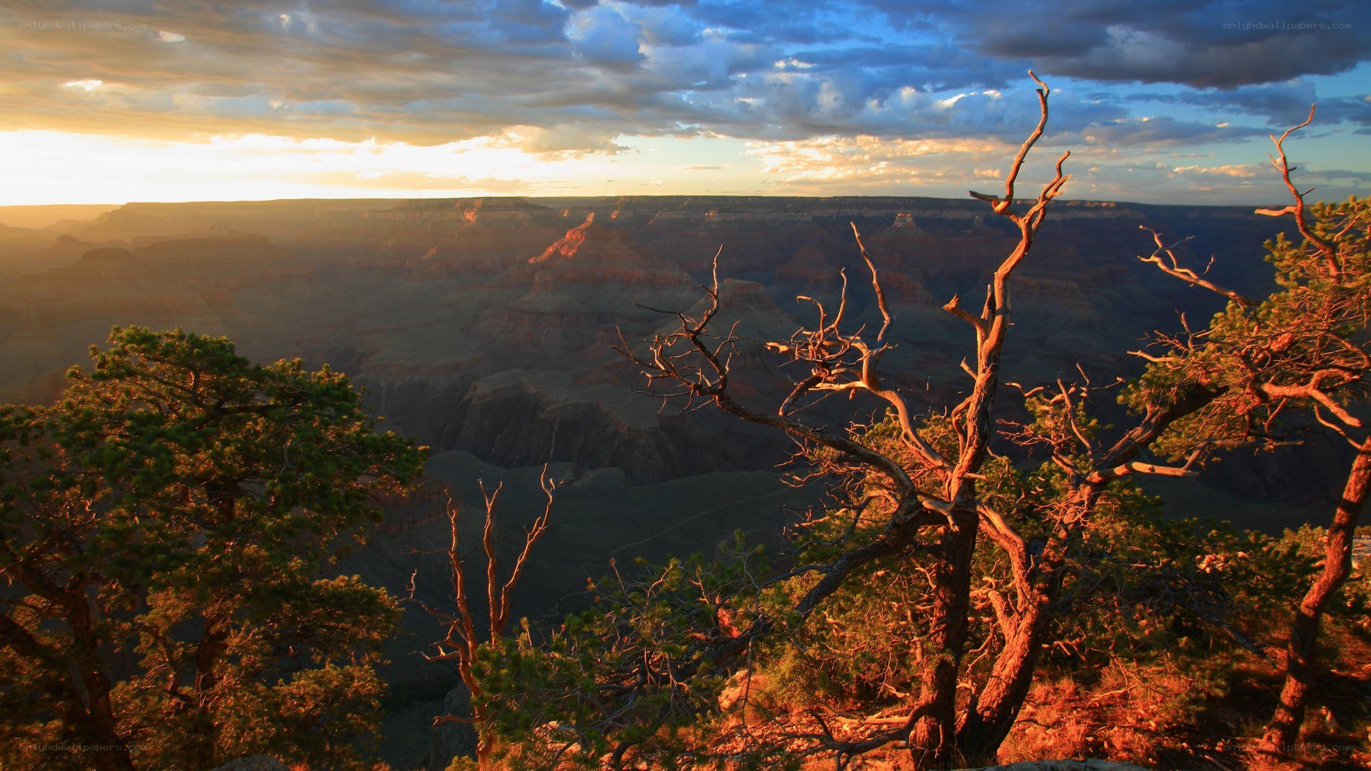 Grand Canyon sunset view