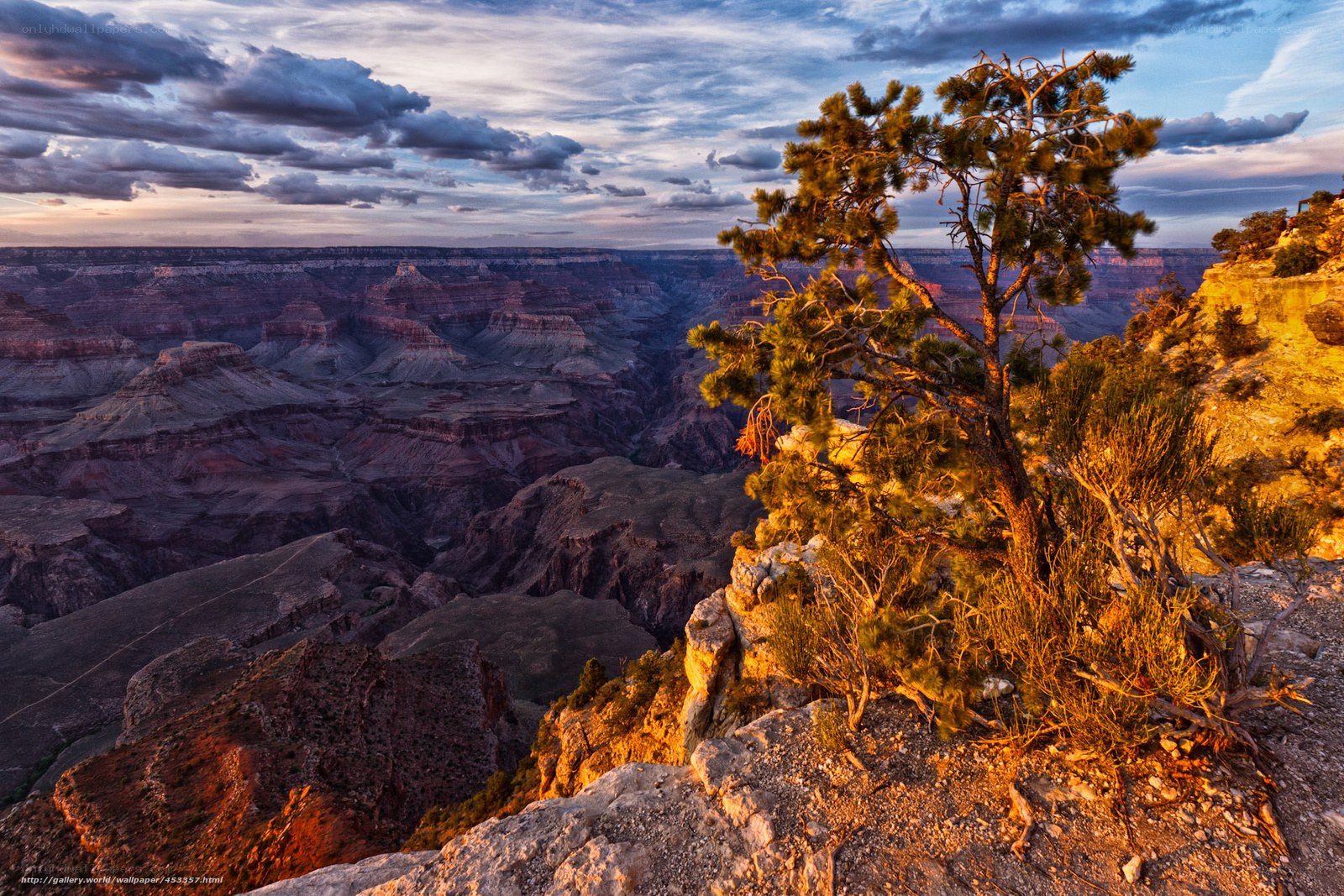 Grand Canyon sunset vista