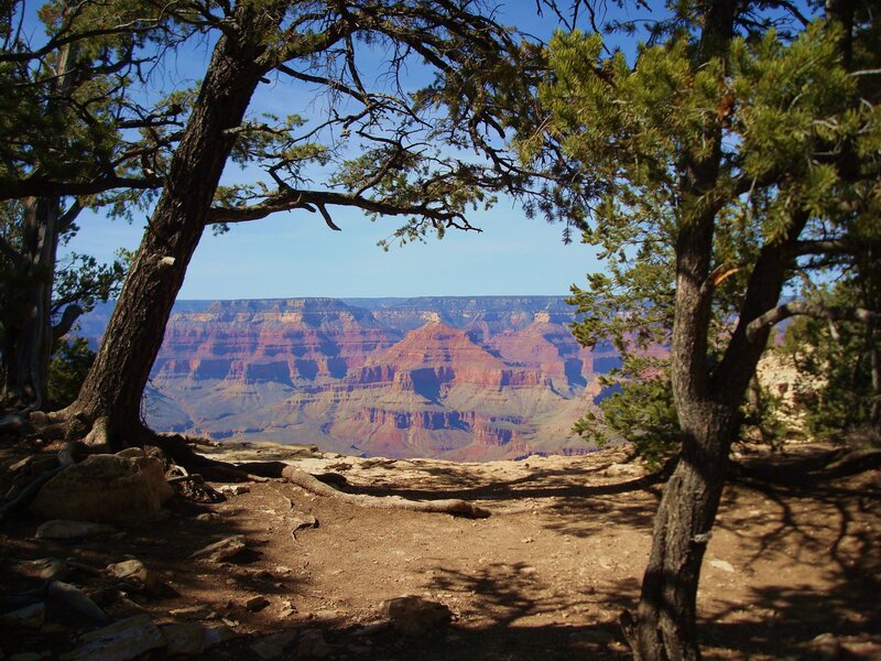 Grand Canyon View