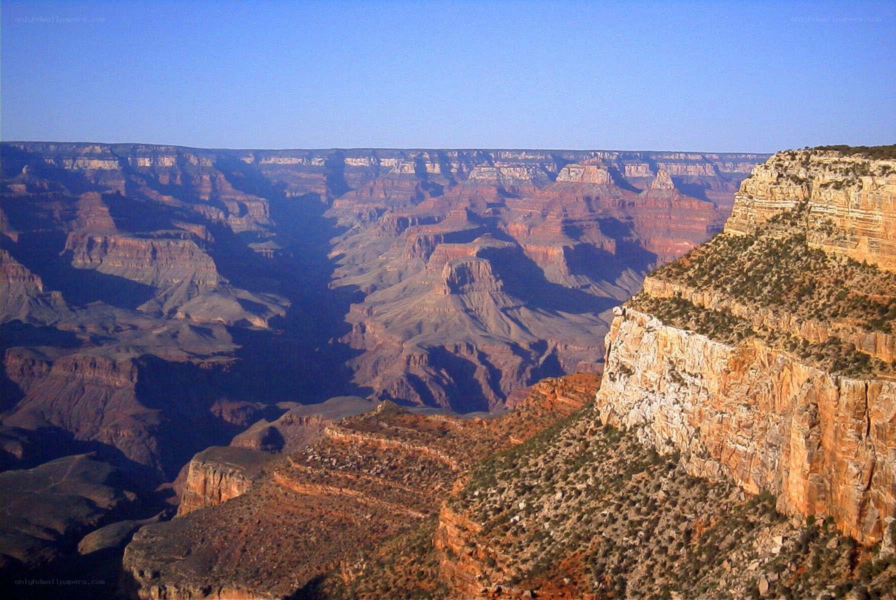 Grand Canyon vista