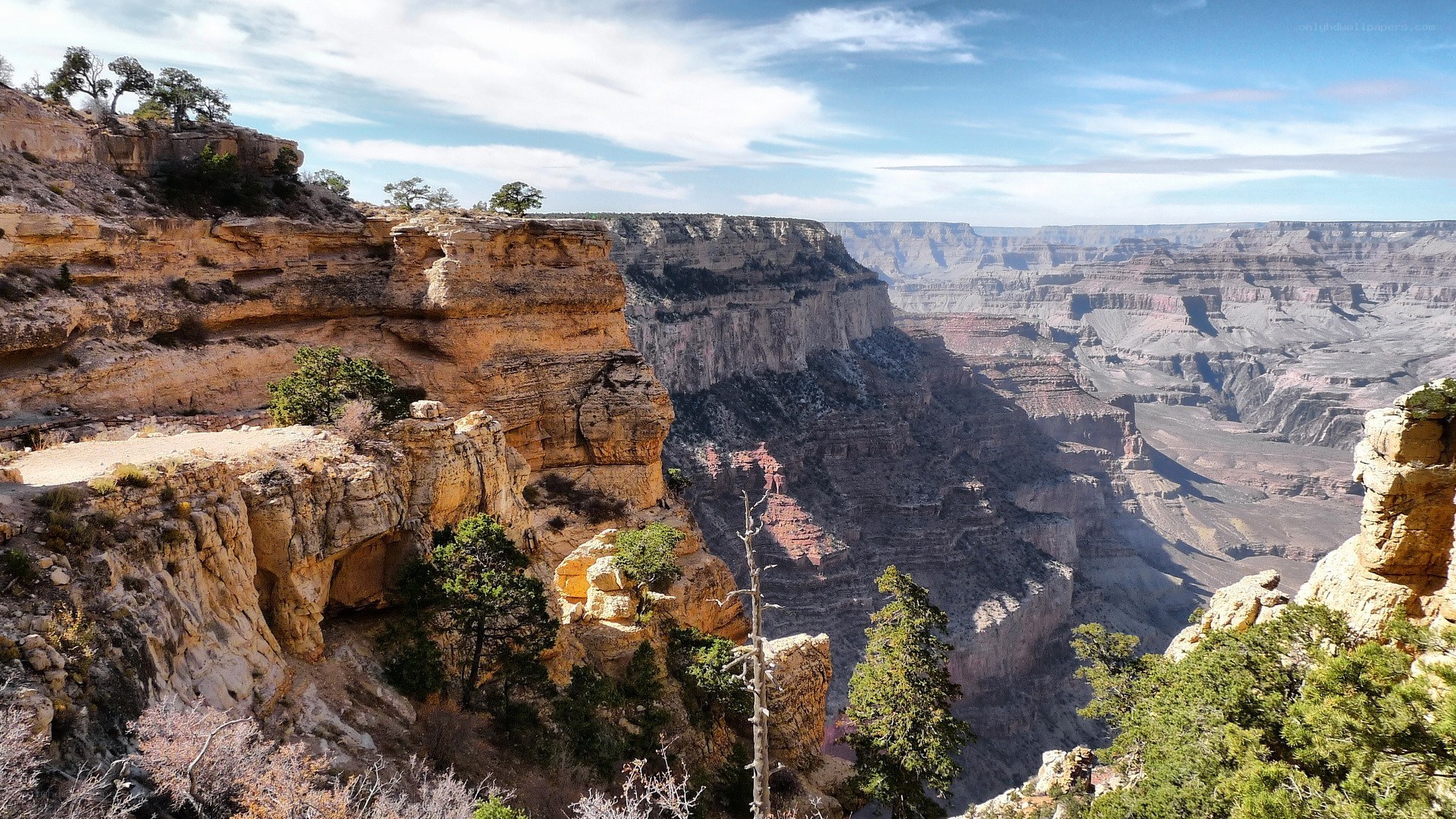 Grand Canyon vista