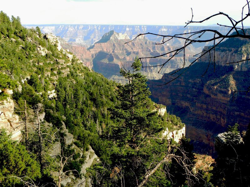 Grand Canyon vista