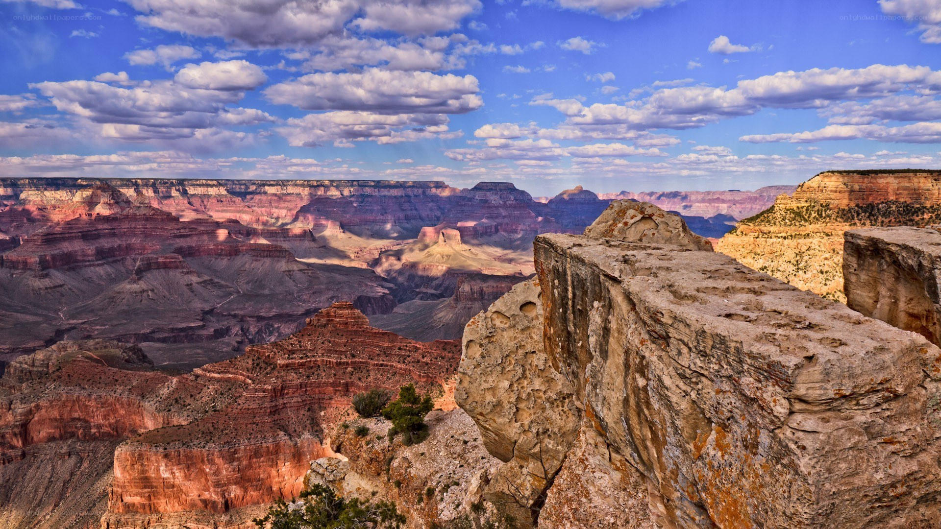 Grand Canyon vista