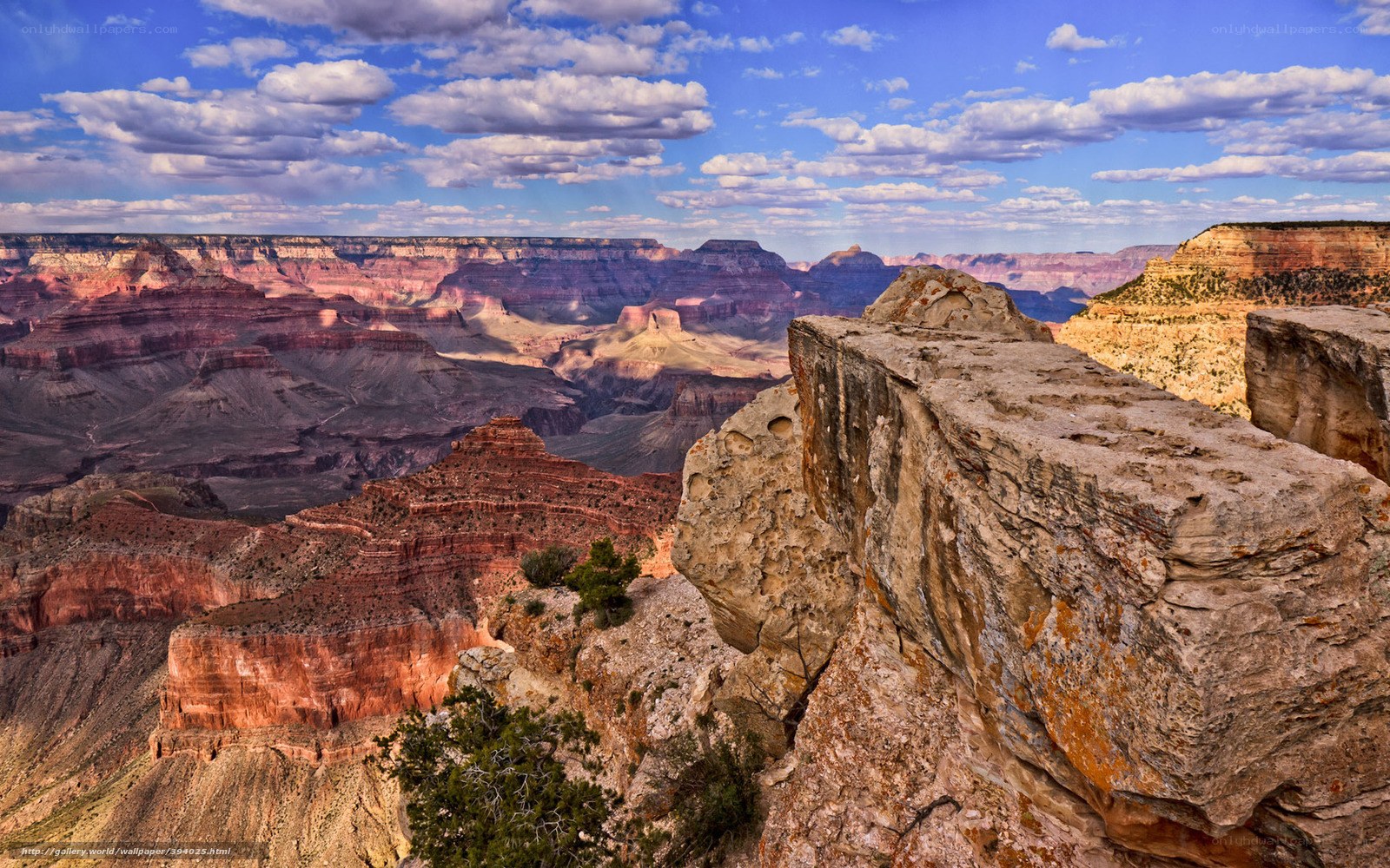 Grand Canyon vista