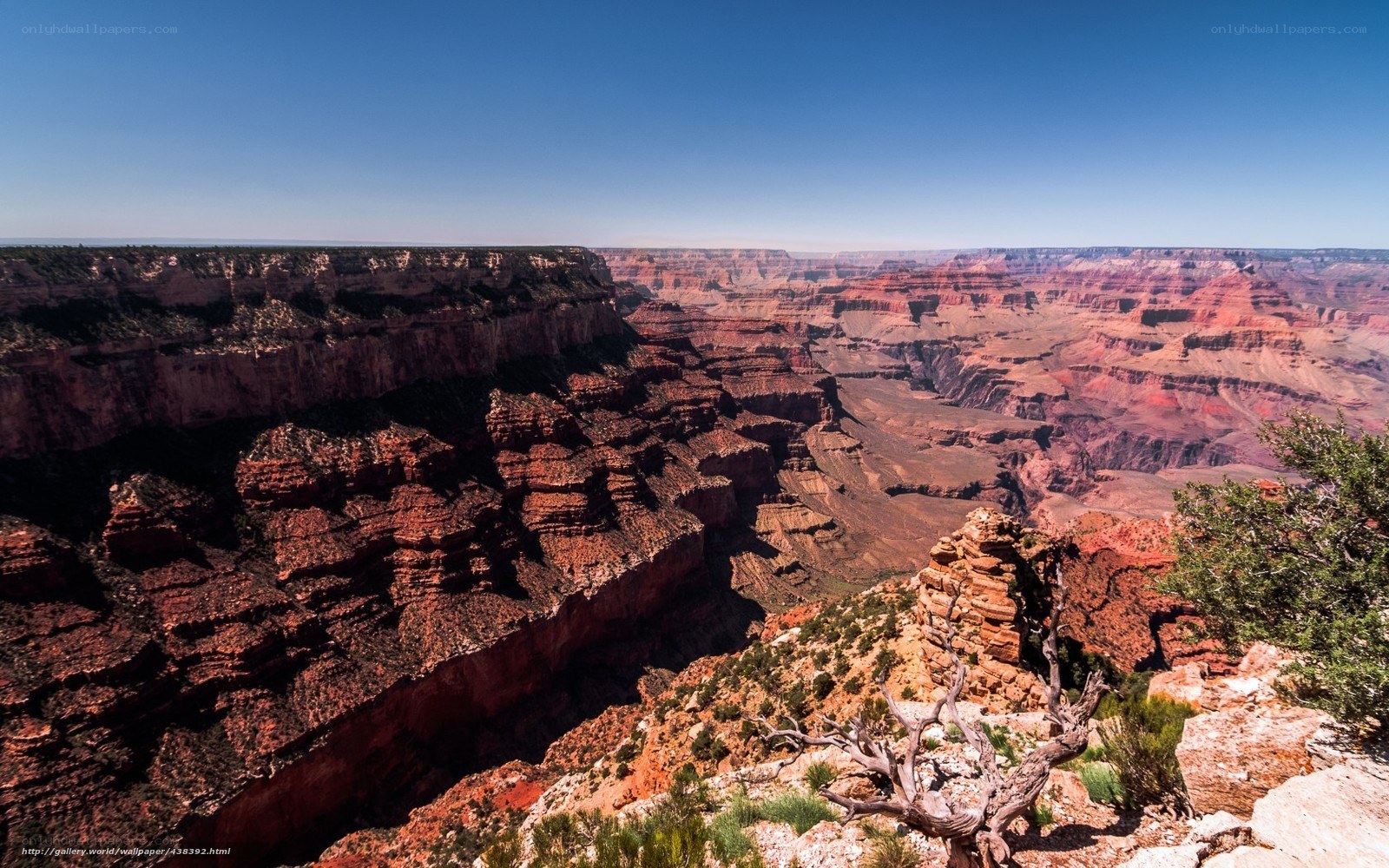 Grand Canyon vista