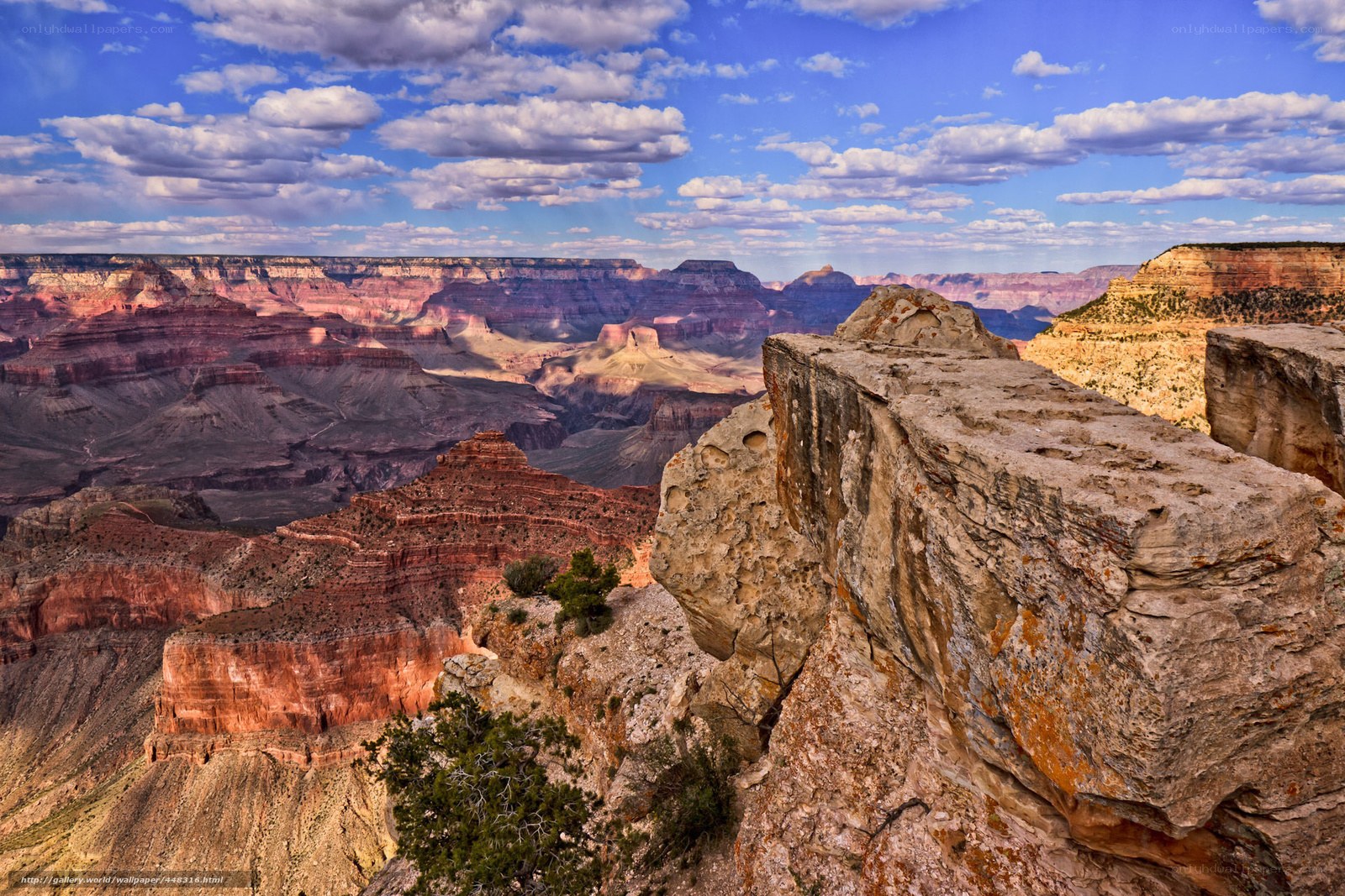 Grand Canyon vista