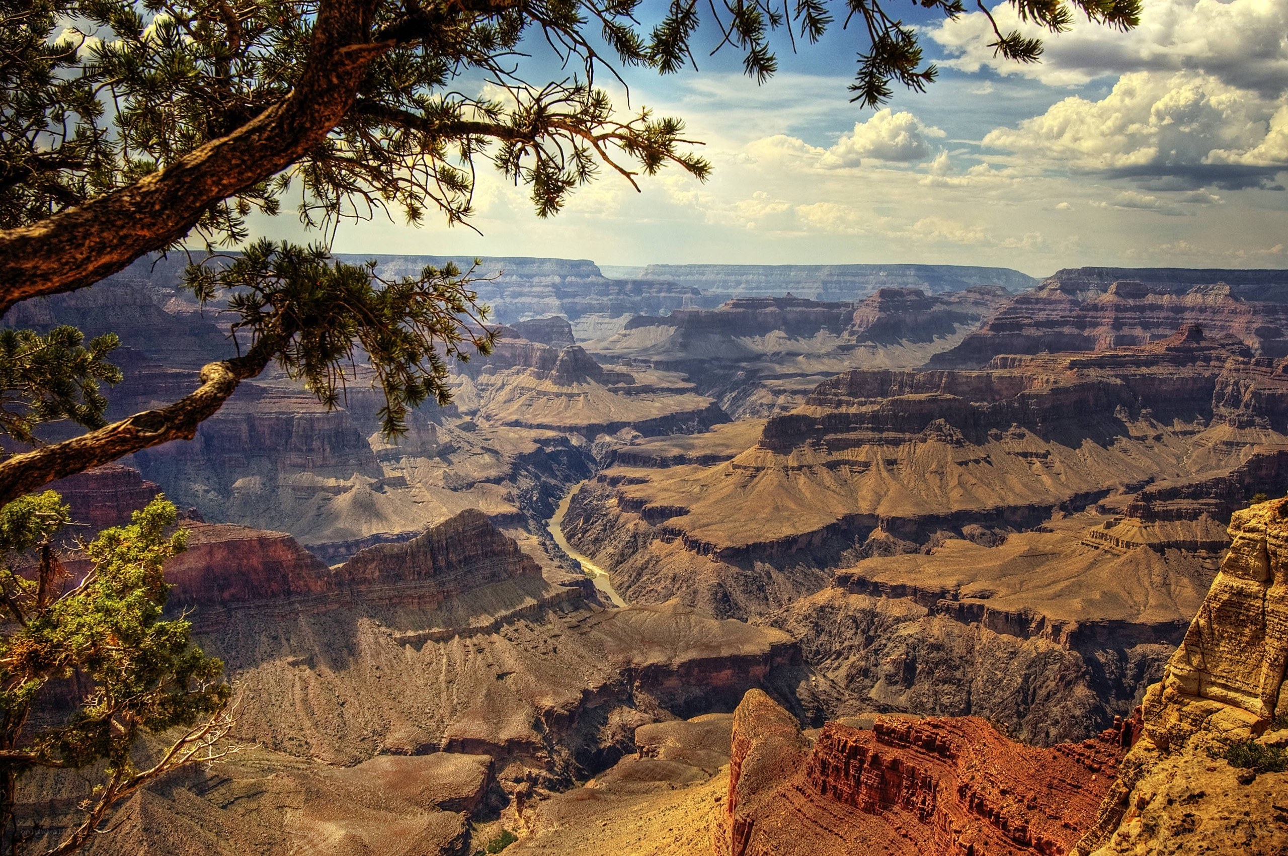Grand Canyon vista from above