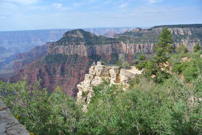 Grand Canyon Vista — Green, Serene