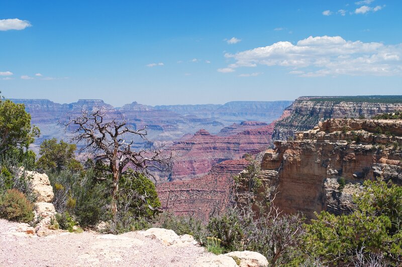 Grand Canyon vista on a sunny day