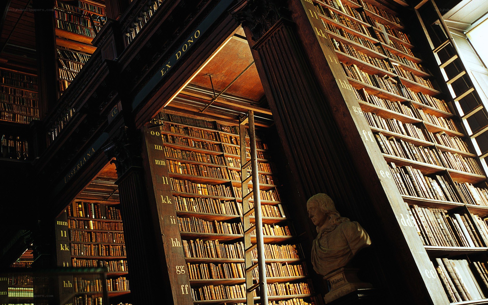 Grand library with bookshelves