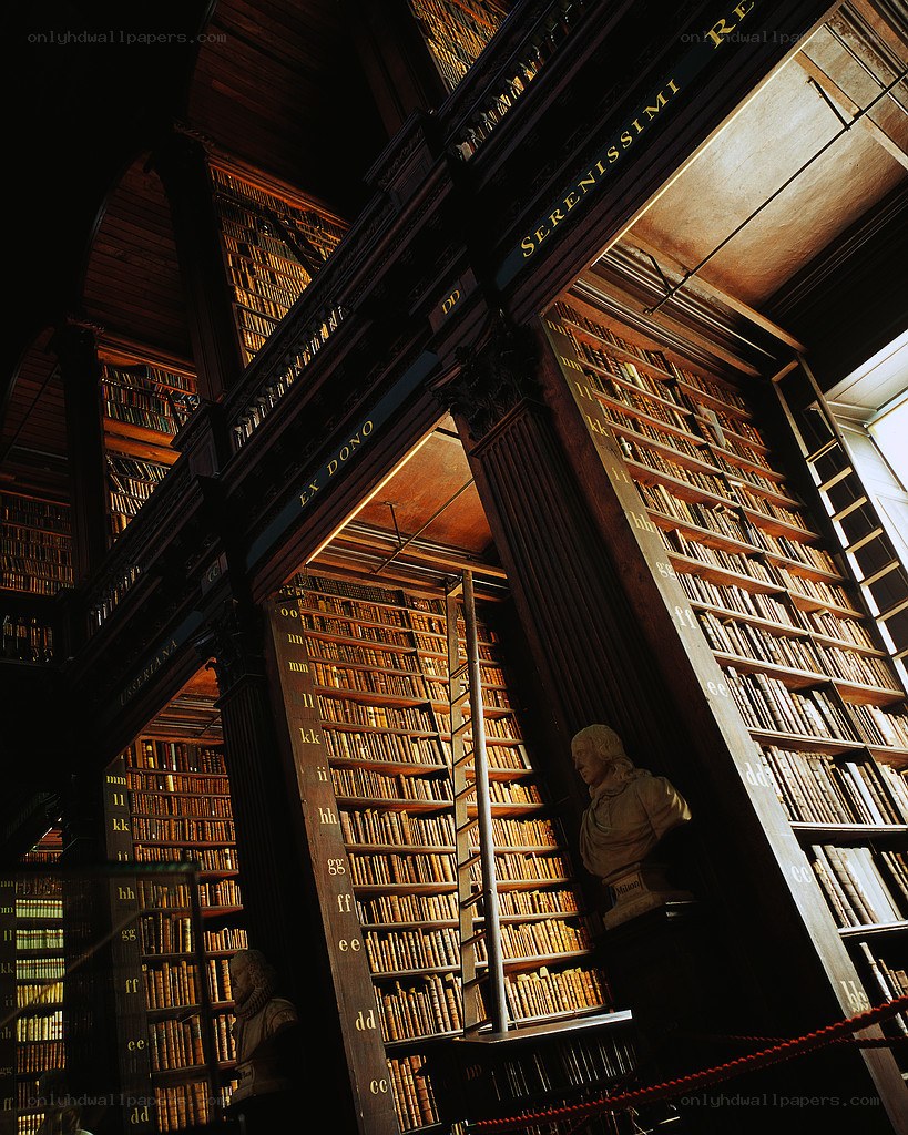 Grand library with bookshelves