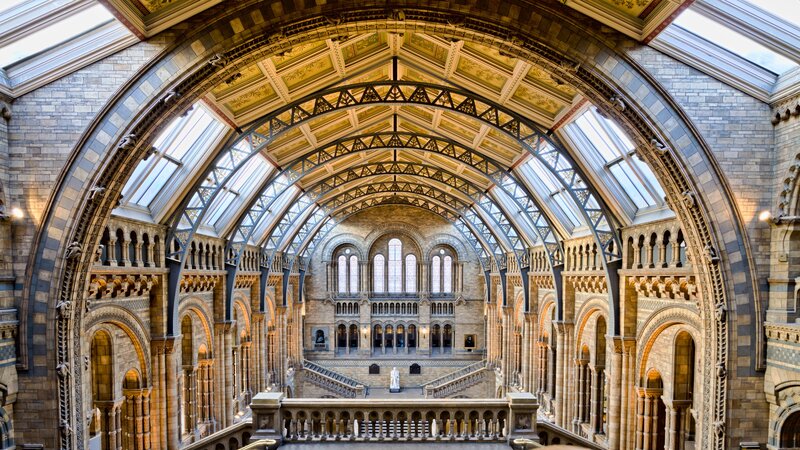 Grand Museum Hall — Brown