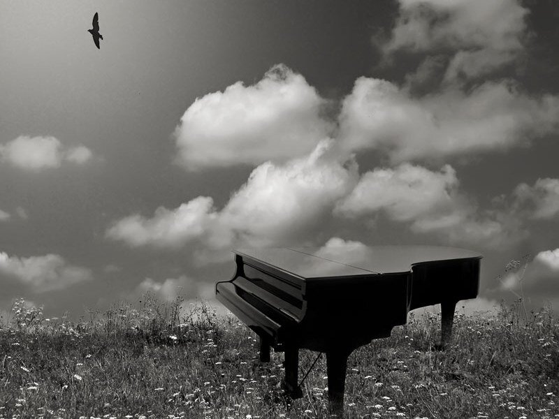 Grand Piano in Field