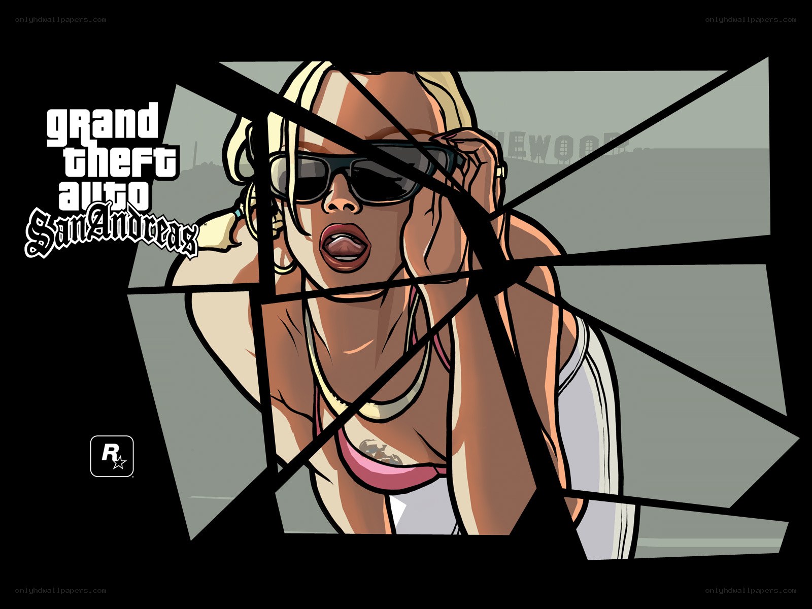 Grand Theft Auto San Andreas artwork