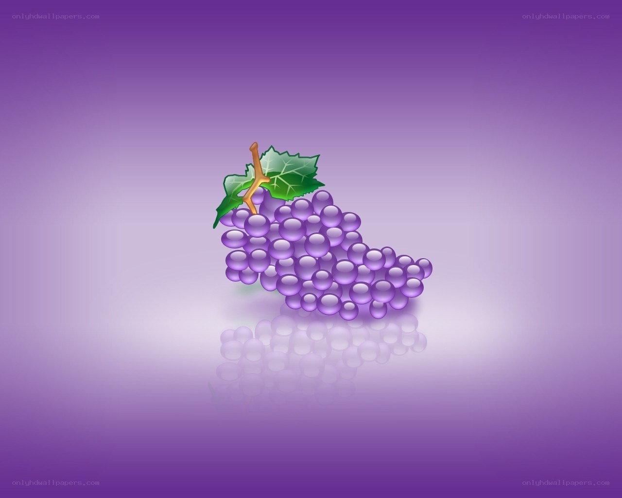 grape cluster with leaf