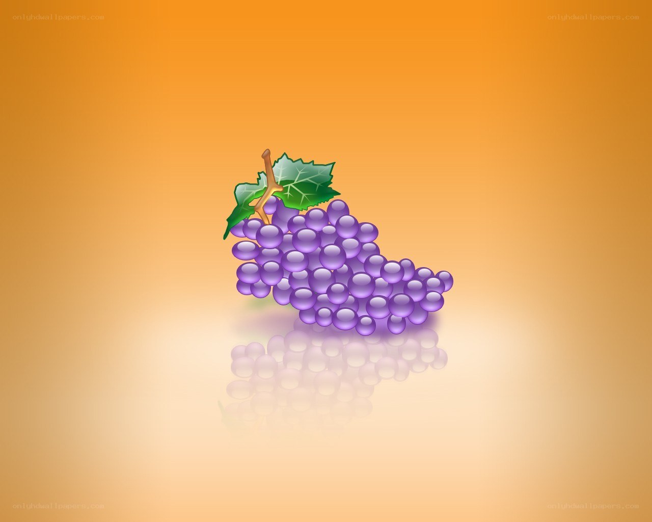 grape cluster with leaf