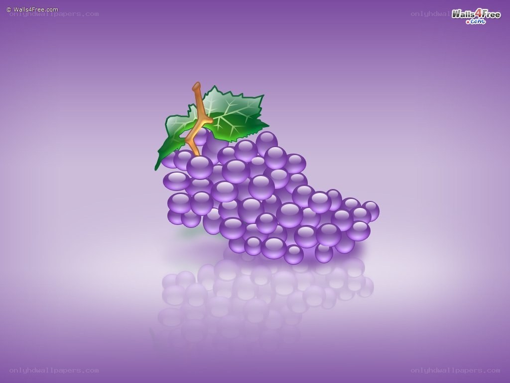 grape cluster with leaf