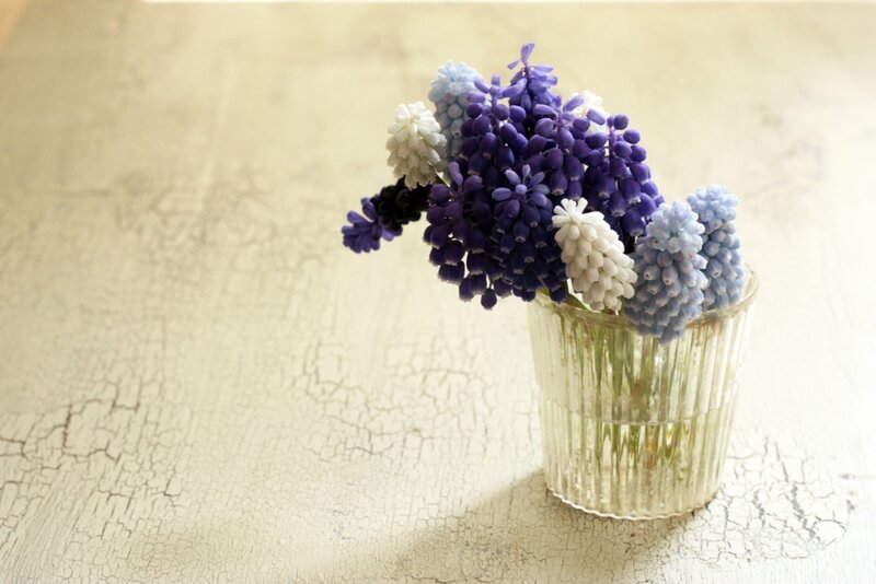 Grape Hyacinth Bouquet