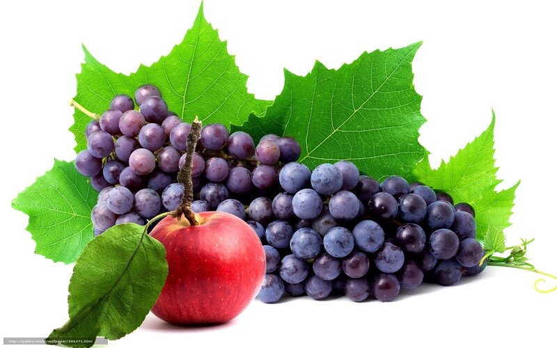 Grapes and Apple — Green