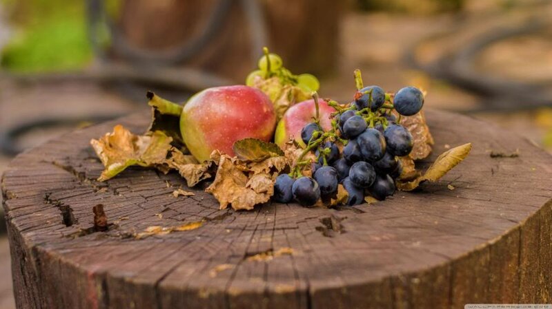 Grapes and Apples on Stump