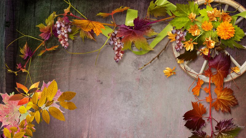 Grapes and Autumn Leaves — Green