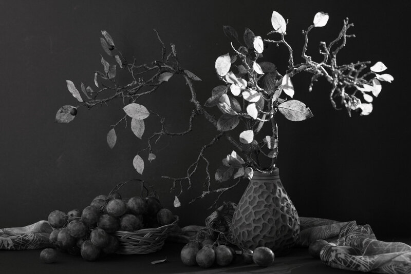 Grapes and Branches in Vase