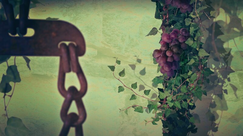 grapes and chain on green wall