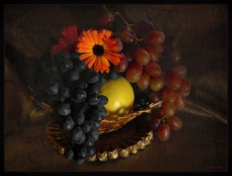 Grapes and Flowers in Basket — Brown