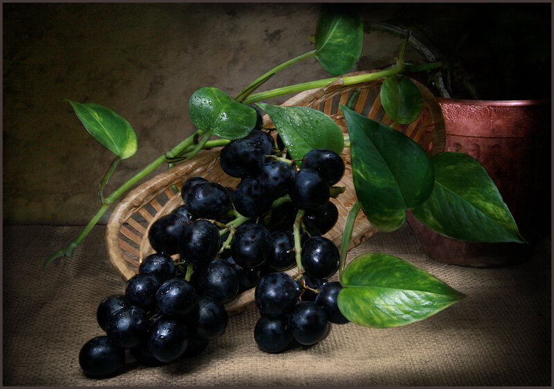 grapes and green leaves in basket