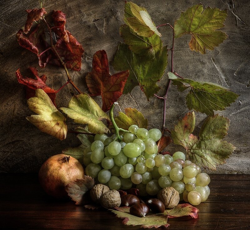 Grapes and Pomegranate — Green
