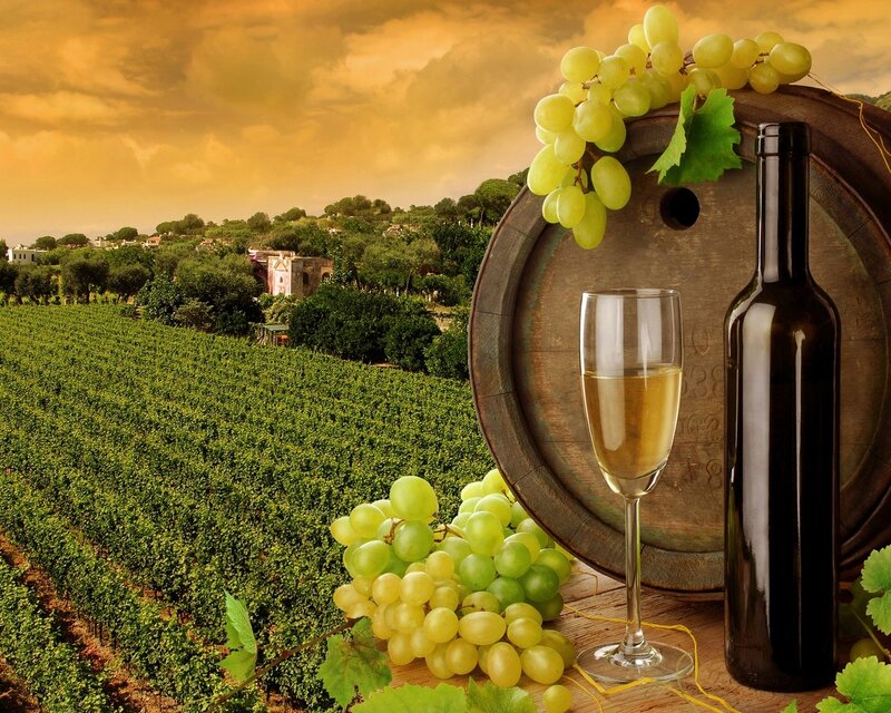 Grapes and Wine Barrel — Green