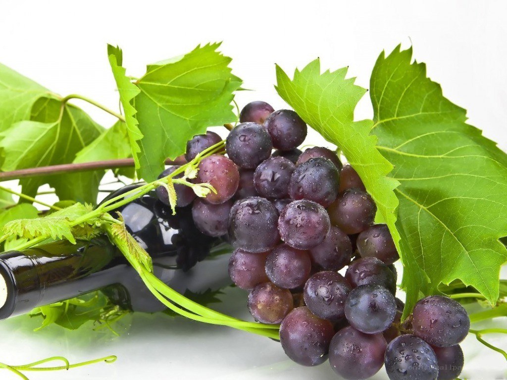 grapes and wine bottle