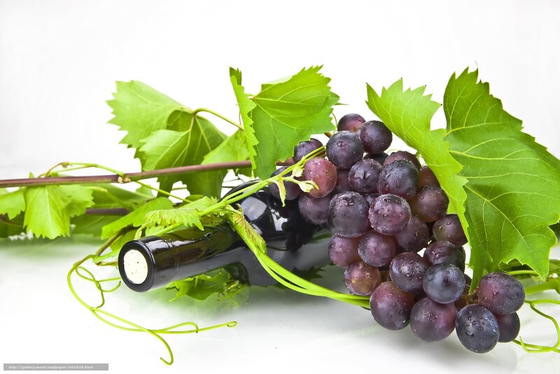 Grapes and Wine Bottle — Green, Fresh