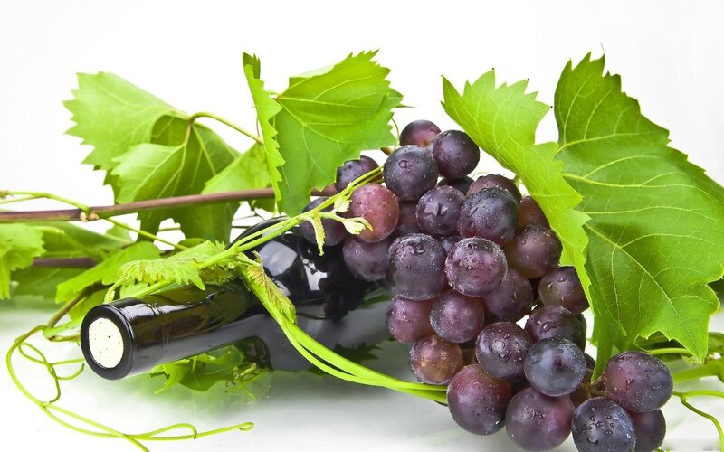 Grapes and Wine Bottle — Green