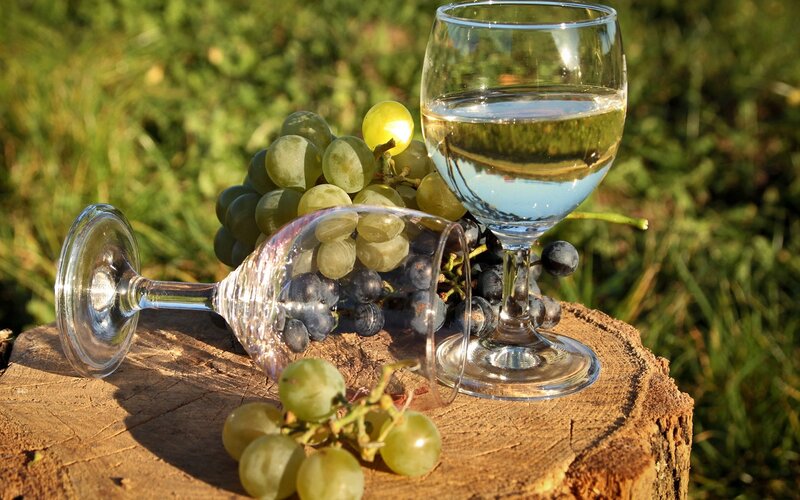 Grapes and Wine Glasses — Green
