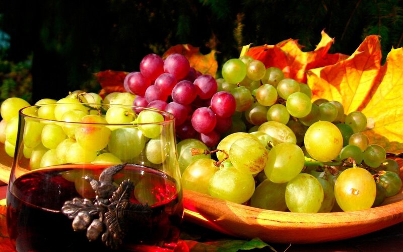 grapes and wine in autumn
